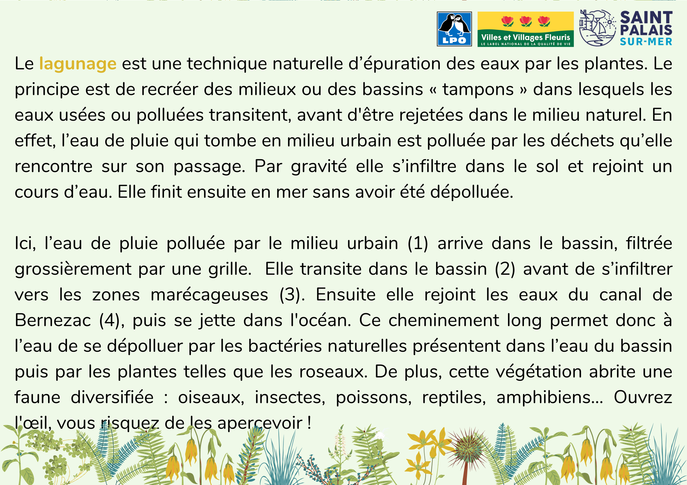 « Lagunage et biodiversité » — Panneaux explicatifs - Image 2